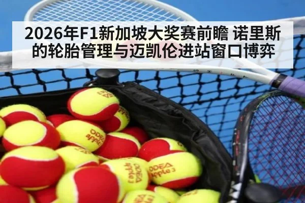 2026年F1新加坡大奖赛前瞻 诺里斯的轮胎管理与迈凯伦进站窗口博弈